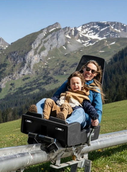 Luge des bois