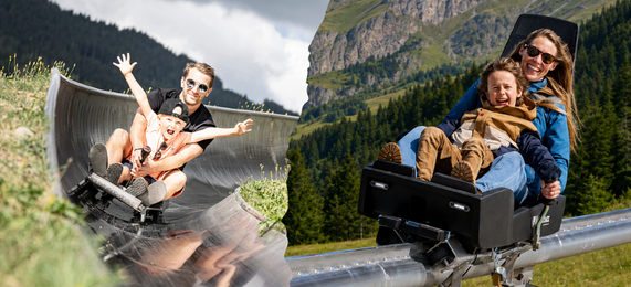 De la luge même