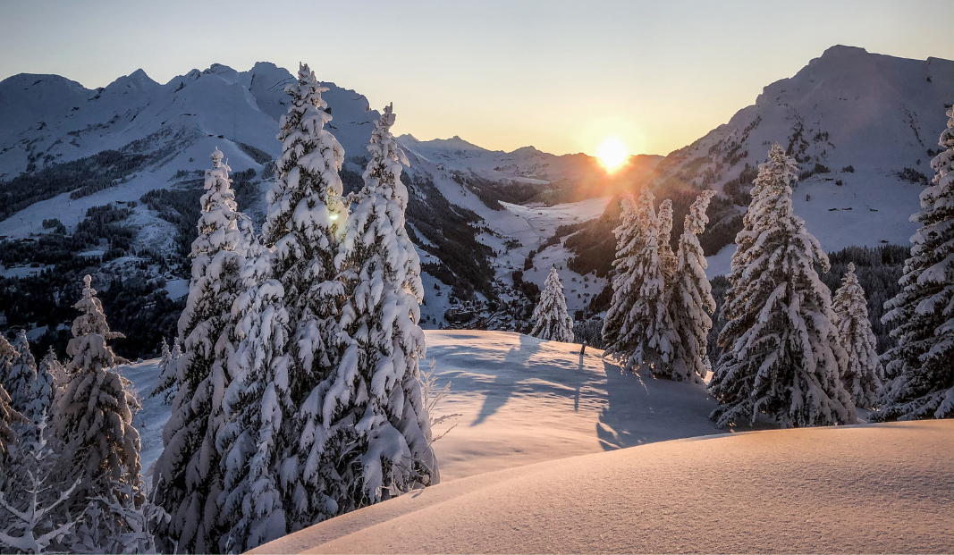 Aller-retour Beauregard